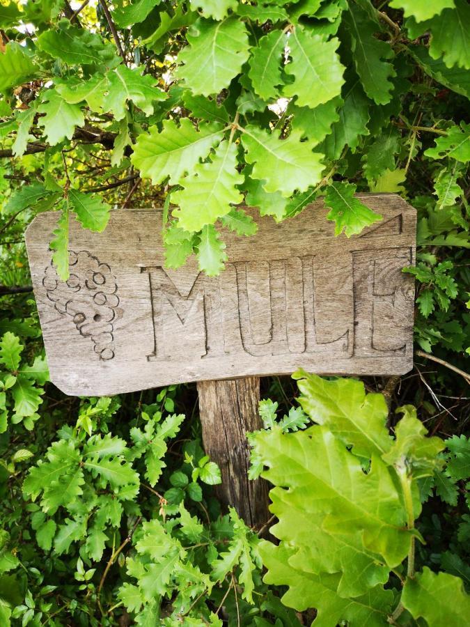 Mule Panzió Lagardere Kültér fotó